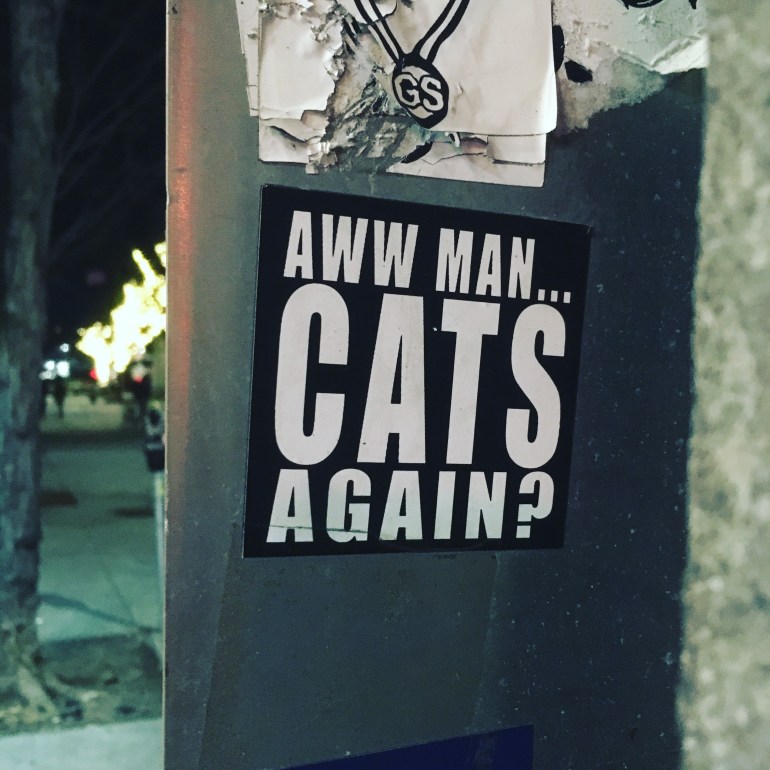 2018-01-26 21.10.27-2